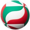 Molten V5M4000 Volleyball No. 5 Practice Ball Model
