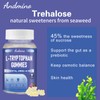 andmino L Tryptophan Gummies 500mg, with Trehalose, for Natural Relaxation
