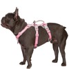 Huntboo Escape Proof Dog Harness, Escape Artist Harness, Fully Reflective