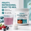Creatine Complex Powder, Raspberry & Blueberry, 500 g, 71 Servings