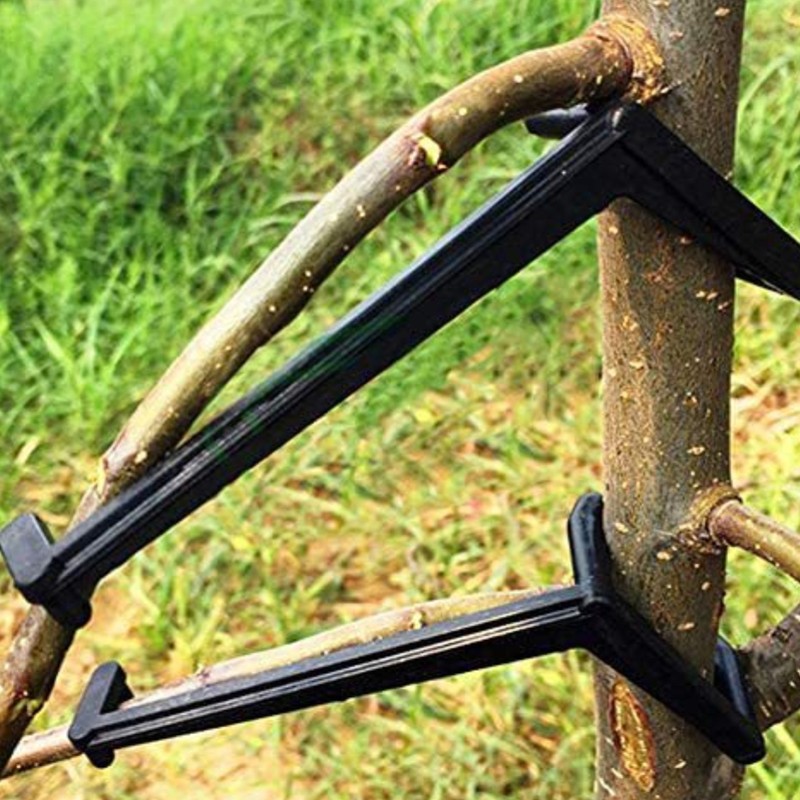 100PCS Adjustable Fruit Branch Spreader to Support New Branch Growth
