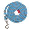 Horse Rope Thickened Wearable Soft Touch Nylon Pet Leash with