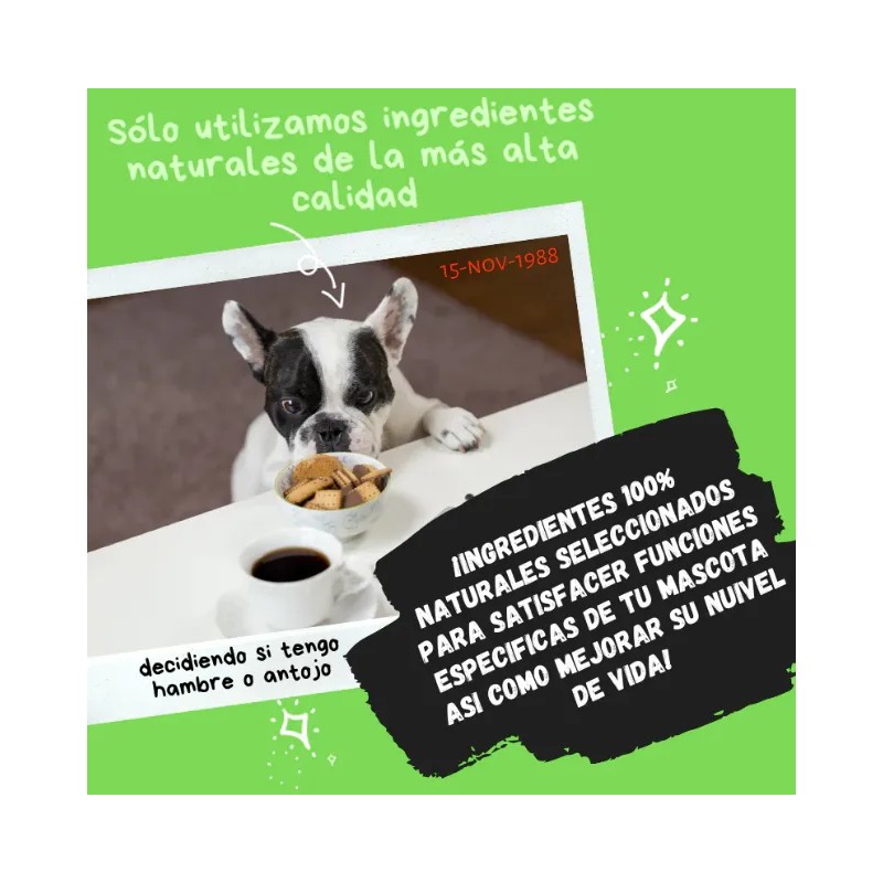 Detox 100% Natural De Uso Diario Para Perros Y Gatos