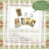 After Tarot FLATLAND Tarot Divination, Japanese Instruction Manual Included, Genuine