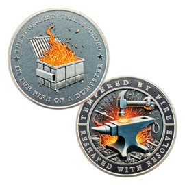 Dumpster Fire Challenge Coin - Funny Desk Accessories for Work - Emotional Support Pocket Token Gift - Hilarious Coin Office Gift - Employee Appreciation Medal (silver-01)