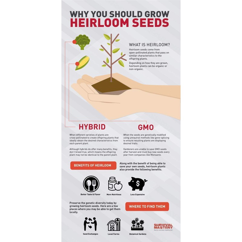 100 Assorted Heirloom Vegetable Seeds 100% Non-GMO (100, Deluxe Assorted