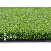 LITA Golf Putting Green Hitting Mats- 1FT x 50FT,Golf Training
