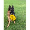 ZippyToss Flying Interactive 9" Dog Disc and Fetch Toy –