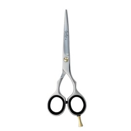 Professional Hair Cutting Scissors 5.5 inch Hairdressing Regular Scissors Shears for Barber Salon Razor Edge Stainless Steel with Finger Rest JS5.5