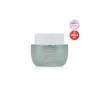 더페이스샵 예화담 쑥딩 수분 크림 120ml Yehwadam Mugwort Moisturizing Cream