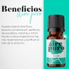 MEVA Esencias para Difusores y Humidificadores de Aromas 5ml Varios