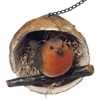 Robin in a Coconut Hanging Bird Feeder
