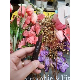 Aveda NIB Aveda Feed My Lips Pure Nourish-Mint Lipstick 12 CACAO BEAN .12 Full Size