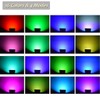 GLW 30W RGB LED Flood Light Remote Control Outdoor Landscape