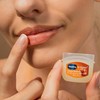 Vaseline Lip Therapy Variety 3-Pack – Crème Brûlée, Rosy Lips,