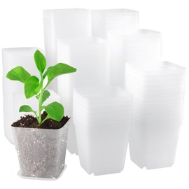 PINGEUI 150 Pcs Nursery Plant Pots, 3Inch Clear Plant Seedling Pots with Saucers,Square Herb Pots Flower Pots for Home, Company, Office and Garden