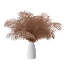 PATIKIL 8-10 Inch(20-25cm) Ostrich Feathers, 30 Pack Artificial Ostrich Feathers Bulk for Wedding Party Centerpieces Decorations Crafts Brown (5inch Width)