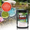 MICROBE-LIFT Pond Algaway Powder - 250 g - Effective Thread