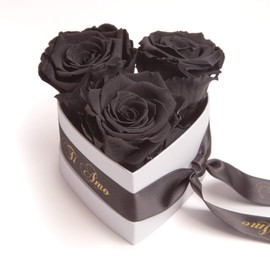 ROSEMARIE SCHULZ Heidelberg Infinity Rose Box Heart - 10 x 12 cm 3 Preserved Roses Durable 3 Years Women - Best Friend Gifts (Ti Amo, Black)
