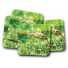 4 Set - Funny Tortoise Coaster - Turtle Pet Animal