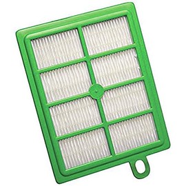 Electrolux S-filter HEPA Vacuum Filter, Green