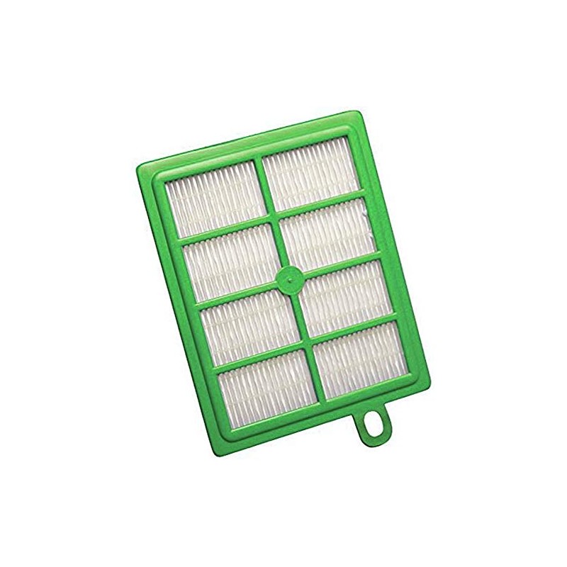 Electrolux S-filter HEPA Vacuum Filter, Green