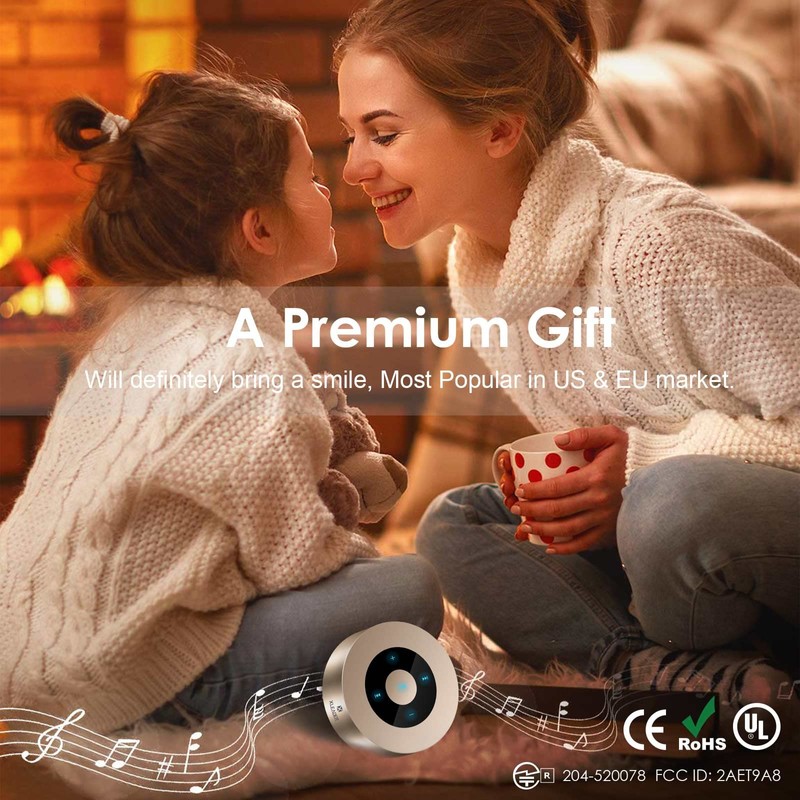 Bluetooth Speaker XLeader Portable Wireless Bluetooth Speakers (Gold)