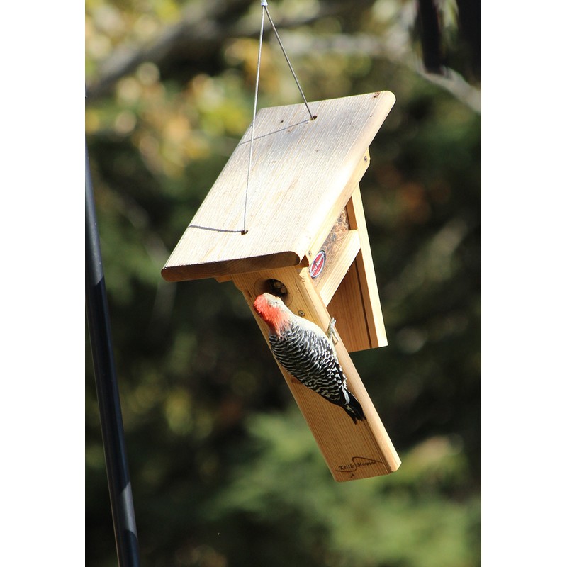 Kettle Moraine " The Clinger Cedar Woodpecker Feeder