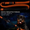 Heavy Duty Tactical Dog Leash with Quick Release Carabiner and