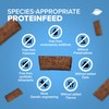 NatureHolic Proteinfeed, Shrimp Food, Protein Food, Made in Germany, Free