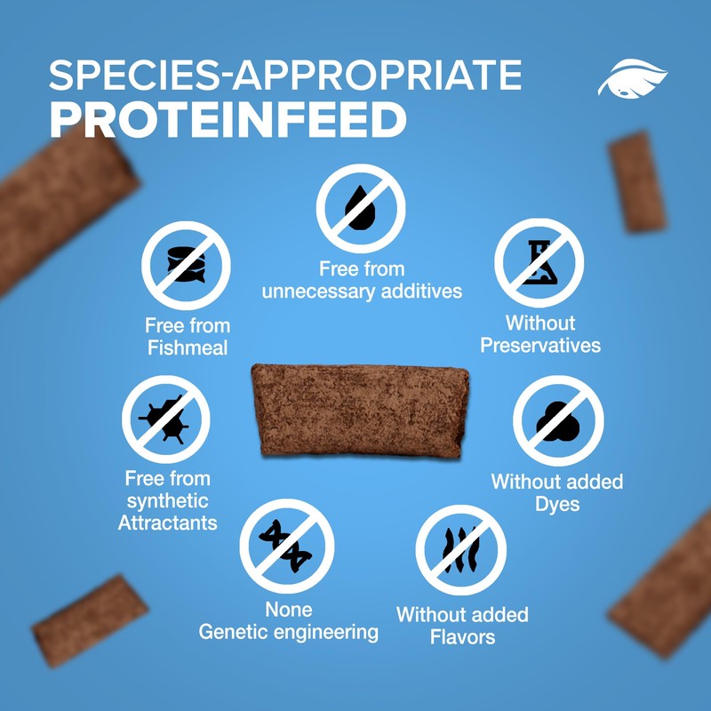 NatureHolic Proteinfeed, Shrimp Food, Protein Food, Made in Germany, Free