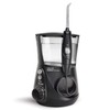 Aquarius WP-660: Professional Water Flosser for Dental Care - 10 Settings, 7 Tips, ADA Accepted (Black)