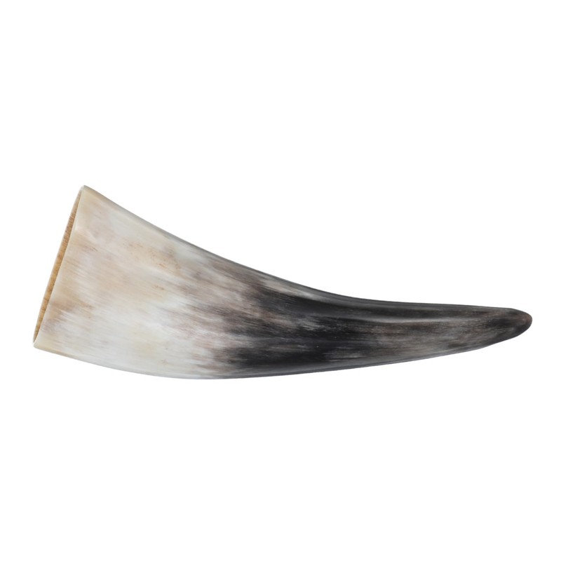 Levemolo Horn Wall Hanging Decoration Cow Horn Bull Horns