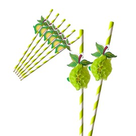 60 Paper Straws with 3D Lime Decoration - Disposable Paper Straws for Summer Party, Children's Birthday, Baby Shower, School Party & Garden Parties