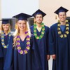 20Pcs Graduation Hawaii Leis, Generic Floral Garland Lei, 50 Inches,