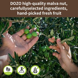 DOZO Malva Nut 7.05oz/200g Pang Da Hai Tea Niranjan Phal 100% Natural Herbal Tea 胖大海 润喉茶