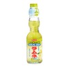 Ramune Japanese Marble Soda Yuzu Citrus 6 Glass Bottles