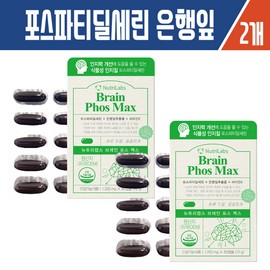 해솔담 뉴트리랩스 포스파티딜세린 은행잎 브레인포스맥스60캡슐 X2개