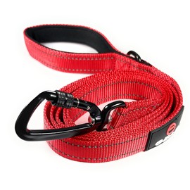 Nylon Dog Leash with Locking Carabiner for Large Medium Small Breeds – Heavy Duty Reflective Nylon Lead with Padded Handle for Everyday Walking, Running, Training (Red, 4')