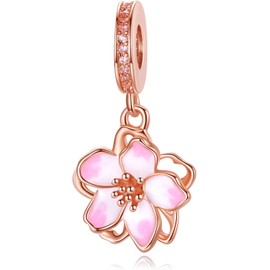 TCZNAF Family Friendship Love Charm Pendant Bead Pendant for European Bracelets Jewellery Gift 925 Sterling Silver Charm for Women, Cubic Zirconia