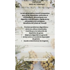 Raíz De Toronjil Capsulas | Potente 100 Unidades