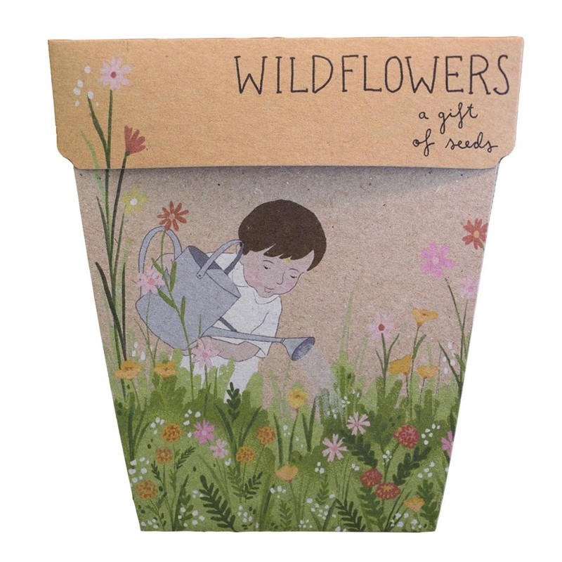 SOW 'N SOW Gift of Seeds - different styles, Poppy