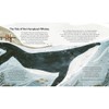 Books Happy Stories For Nature Lovers