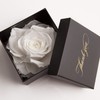 ROSEMARIE SCHULZ Heidelberg Eternal Rose for A Thank You Rose