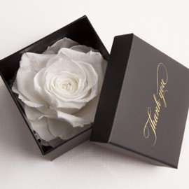 ROSEMARIE SCHULZ Heidelberg Eternal Rose for A Thank You Rose Preserved in Box (White, 1 Rose)