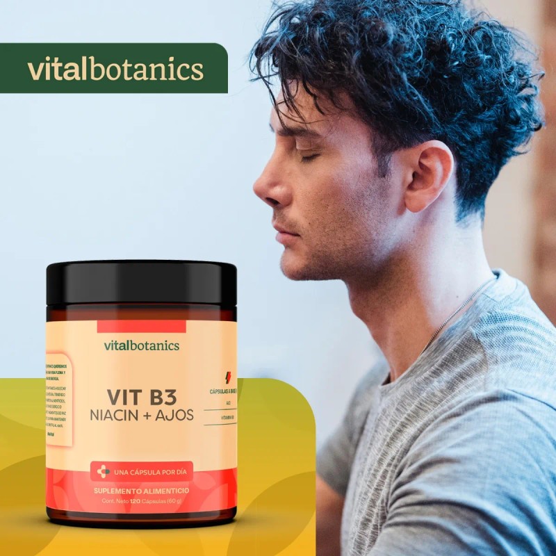 Vitalbotanics Niacina Vitamina B3 Con 120 Capsulas De 500mg Sabor