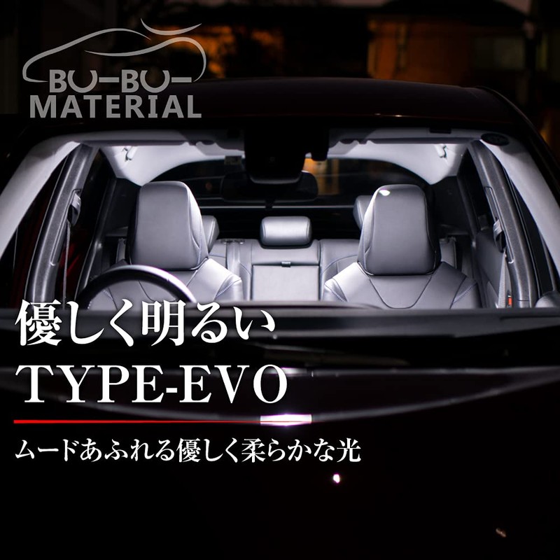 Bubu-Material T10 LED White 7000K Vehicle Inspection Compatible TYPE-EVO Gently