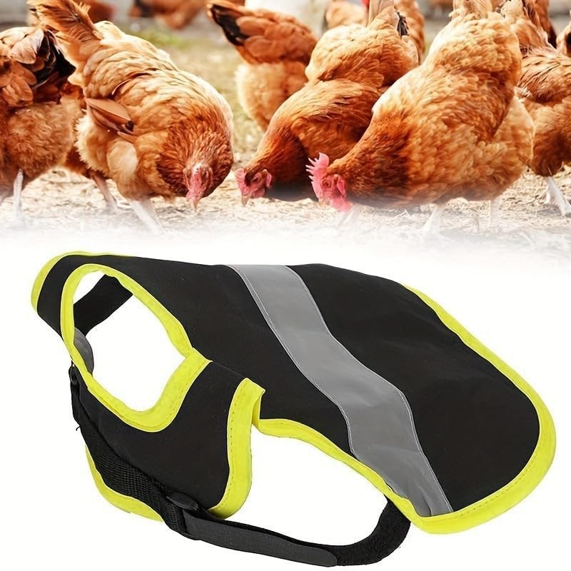 Pack of 2 chicken saddles for chickens, chicken saddle, high