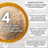 Zaragatona Psyllium Husk - Plantago Cascarilla 5kg