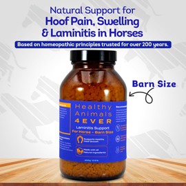 HA4E - Horse Laminitis Support - Hoof Care for Damaged & Injured Hooves - Highly Effective, Natural Homeopathic Supplement - Pellets, Barn Size (Extra Large)